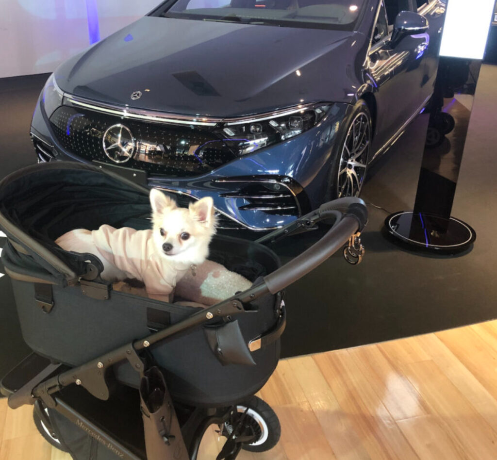 Mercedes-Benz × AIRBUGGY(エアバギー) DOME3を購入しました | 愛犬 